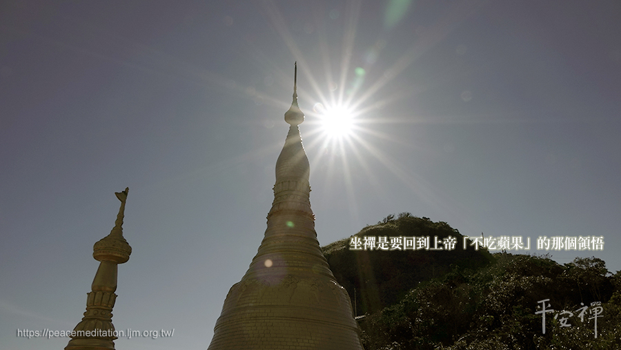 灵鹫山,心道法师,禅修,天使,上帝,苹果,坐禅