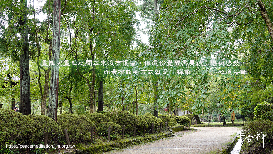 灵鹫山,禅修,宁静运动,寂静,和平,地球永续,宁静,