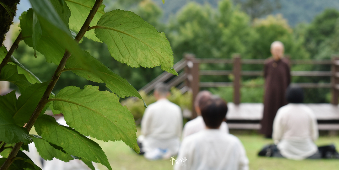 平安禅,静坐,冥想,传承,禅修,心道法师,觉知,力量,打坐