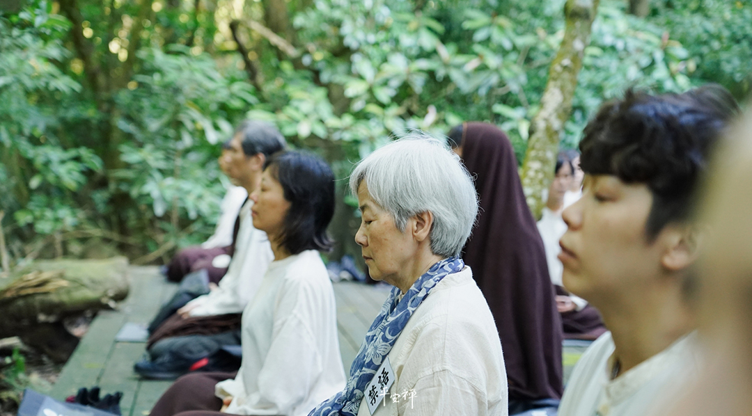 平安禅,静坐,冥想,禅修,四步骤,觉知,坐禅,乐活禅,断食禅,心道法师,寂静