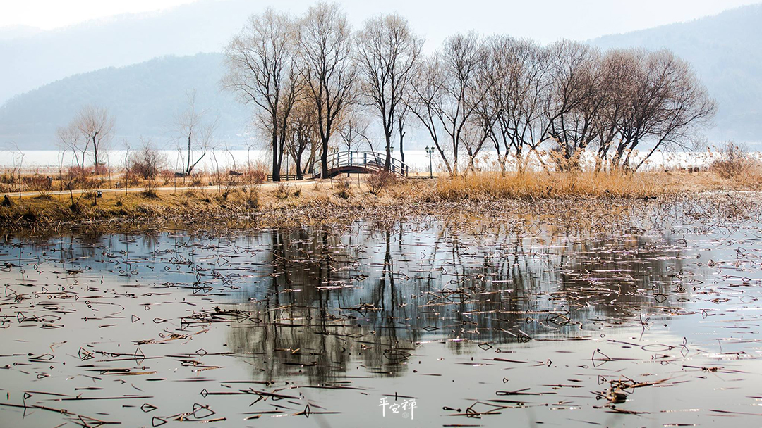  平安禅,静坐,冥想,禅修,四步骤,觉知,坐禅,与法师有约,五戒,心道法师