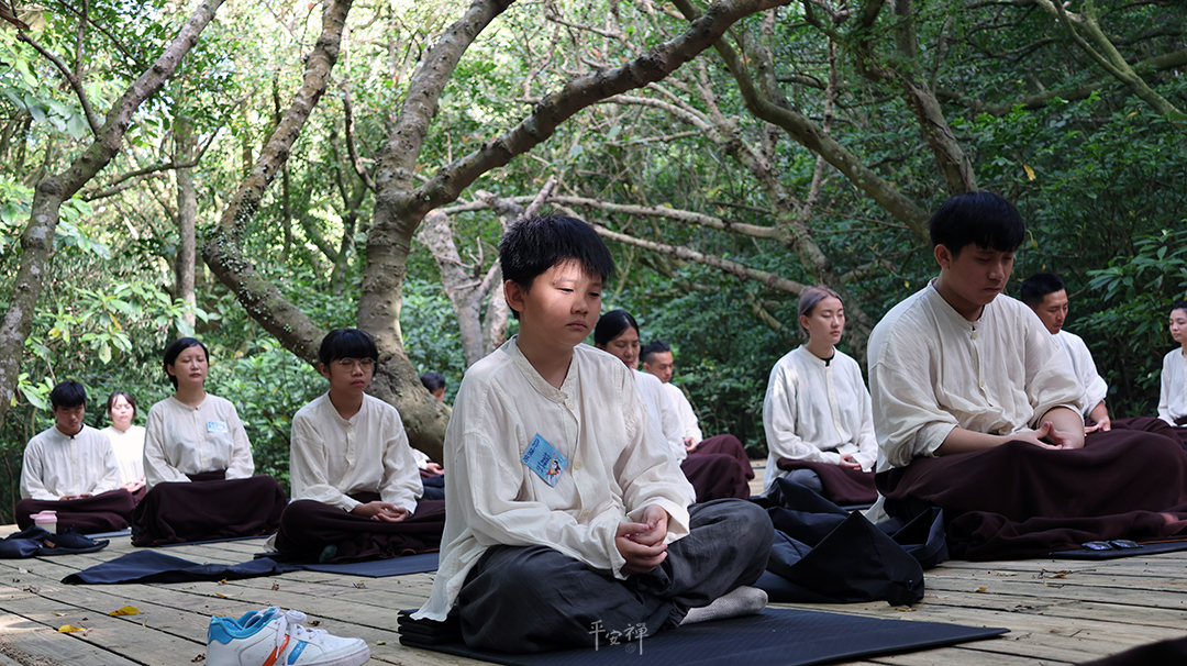 平安禅,静坐,冥想,禅修,四步骤,觉知,坐禅,超人营,钵水,心道法师,青年,生态