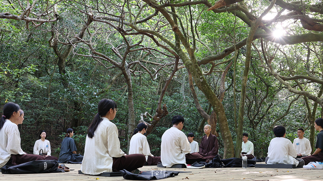 平安禅,静坐,冥想,禅修,四步骤,觉知,坐禅,护关,法工,心道法师,志工,断食禅,超人营