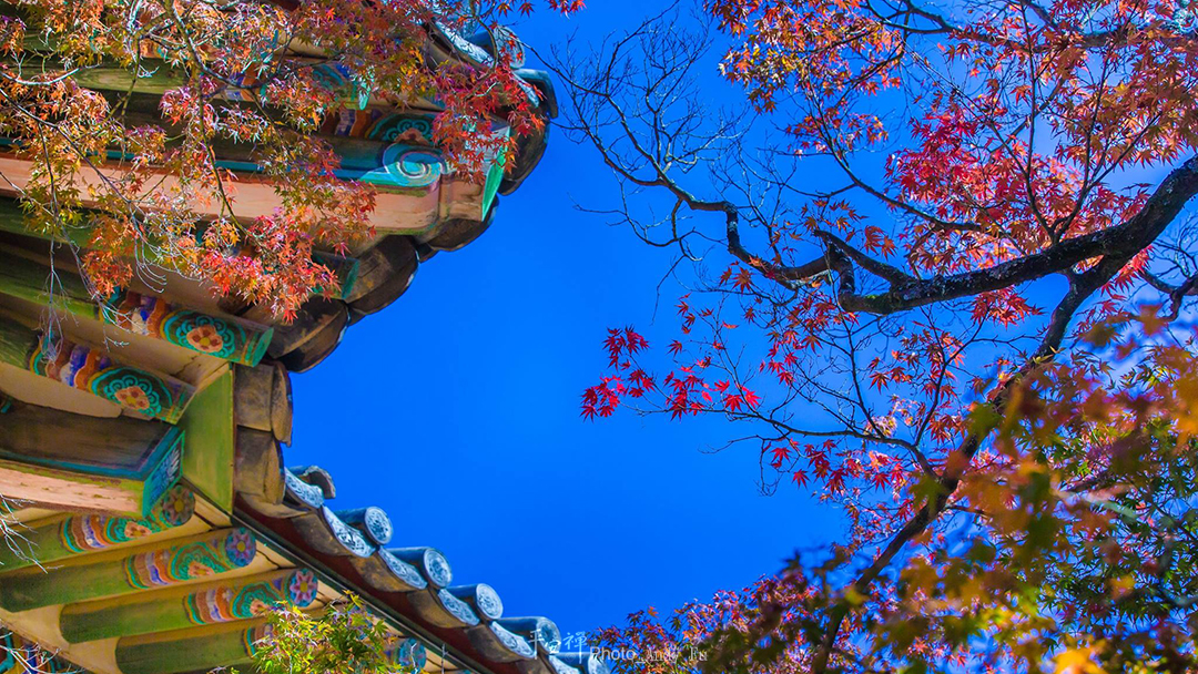 平安禅,静坐,冥想,禅修,四步骤,觉知,坐禅,乐活禅,断食禅,心道法师,护关,法工,