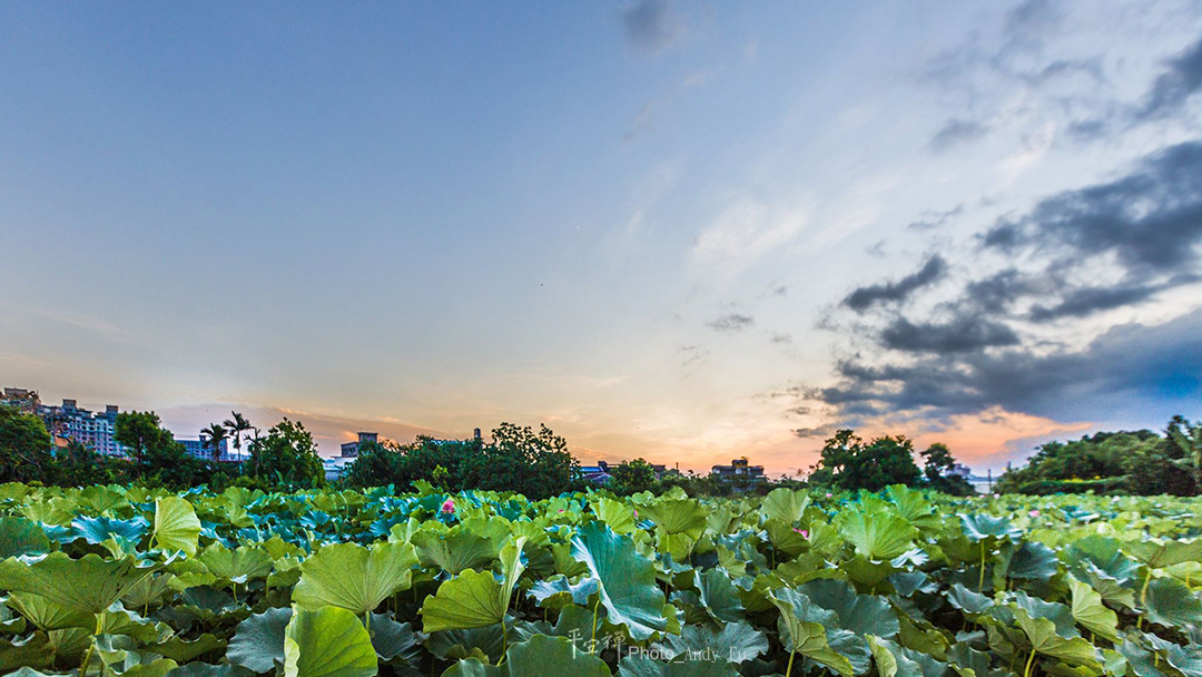 平安禅,静坐,冥想,禅修,四步骤,觉知,坐禅,乐活禅,断食禅,心道法师,护关,法工,四期教育