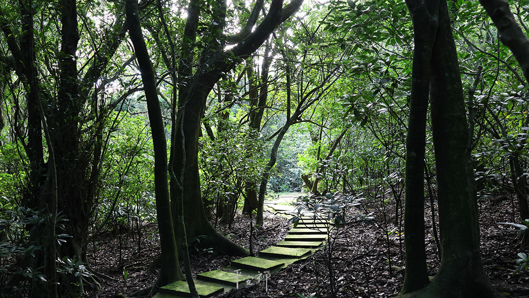 平安禅,静坐,冥想,禅修,四步骤,觉知,坐禅,护关,法工,心道法师,乐活禅,断食禅,禅友会,读书会