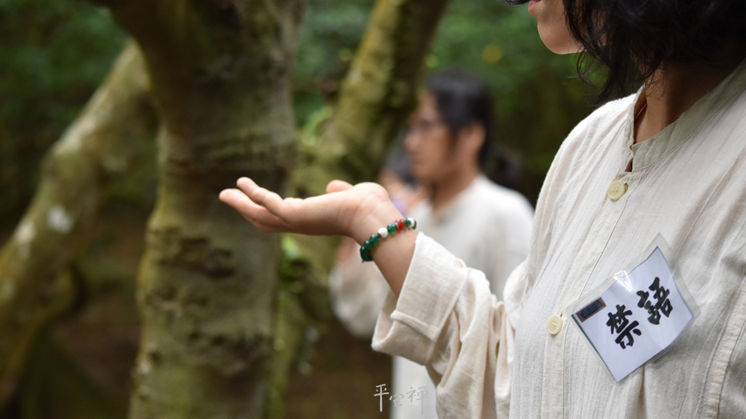 平安禅,静坐,冥想,禅修,四步骤,觉知,坐禅,护关,法工,心道法师,乐活禅,断食禅,禅友会,读书会