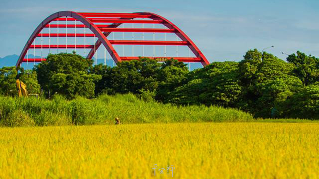 平安禅,静坐,冥想,禅修,四步骤,觉知,坐禅,护关,法工,心道法师,乐活禅,断食禅,禅友会,读书会
