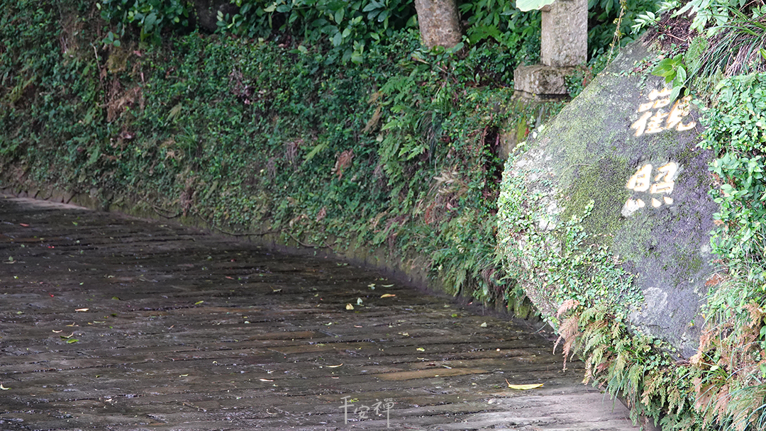 平安禅,静坐,冥想,禅修,四步骤,觉知,坐禅,护关,法工,心道法师,乐活禅,断食禅,禅友会,读书会