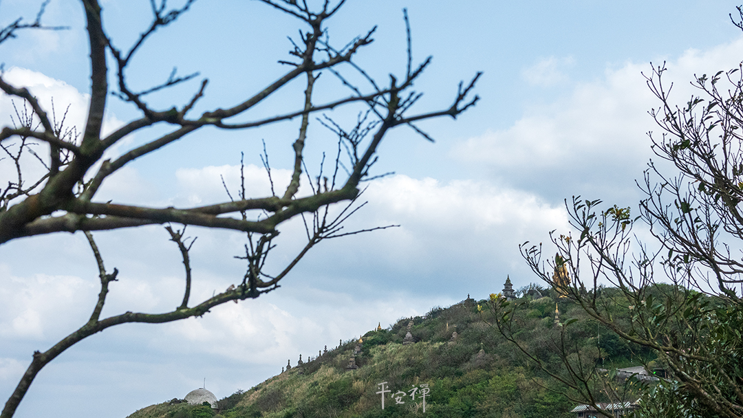 平安禅,静坐,冥想,禅修,四步骤,觉知,坐禅,护关,法工,心道法师,乐活禅,断食禅,禅友会,读书会