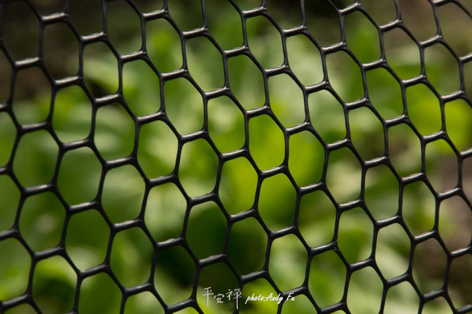 平安禅,静坐,冥想,禅修,四步骤,觉知,坐禅,护关,法工,心道法师,乐活禅,断食禅,禅友会,读书会