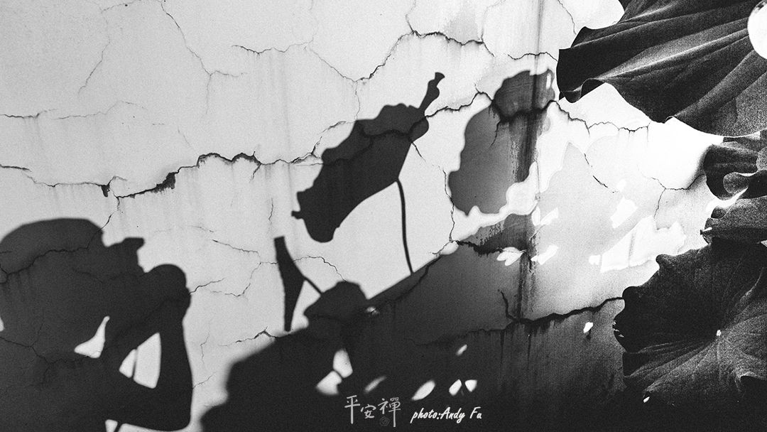 平安禅,静坐,冥想,禅修,四步骤,觉知,坐禅,护关,法工,心道法师,乐活禅,断食禅,禅友会,读书会