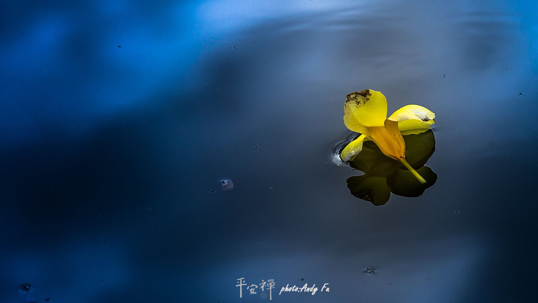 平安禅,静坐,冥想,禅修,四步骤,觉知,坐禅,护关,法工,心道法师,乐活禅,断食禅,禅友会,读书会