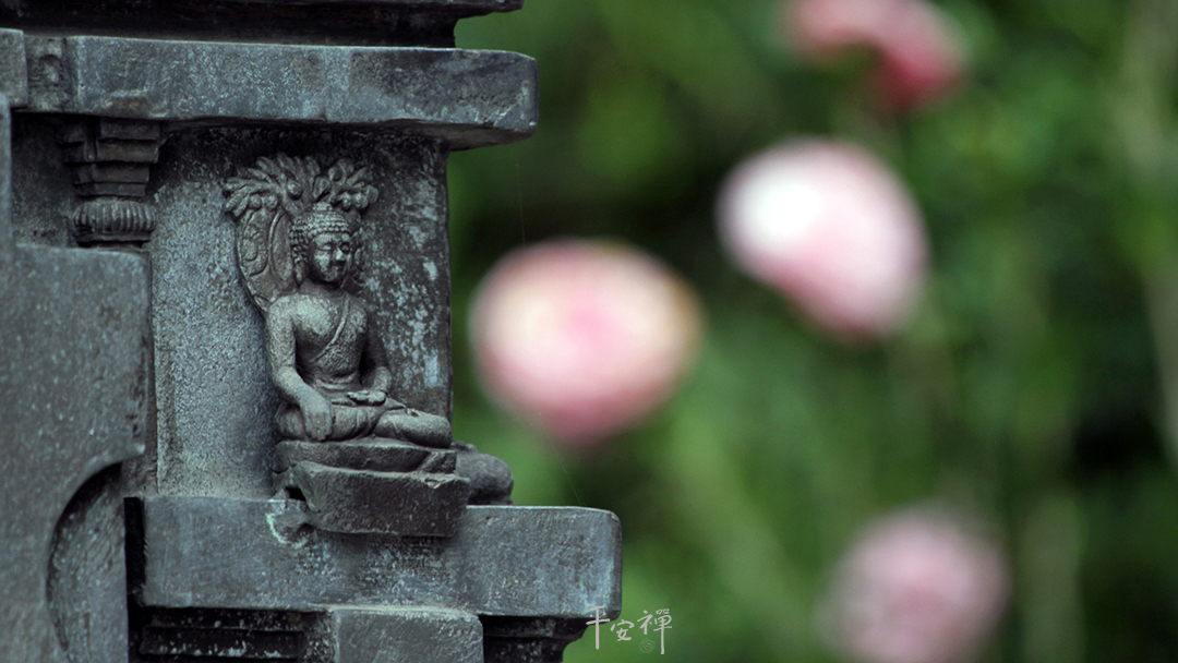 平安禅,静坐,冥想,禅修,四步骤,觉知,坐禅,护关,法工,心道法师,乐活禅,断食禅,禅友会,读书会