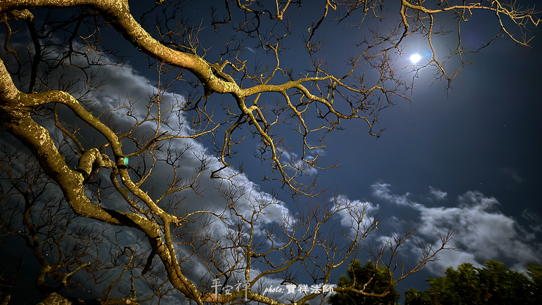 平安禅,静坐,冥想,禅修,四步骤,觉知,坐禅,护关,法工,心道法师,乐活禅,断食禅,禅友会,读书会