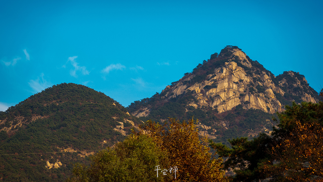 平安禅,静坐,冥想,禅修,四步骤,觉知,坐禅,护关,法工,心道法师,乐活禅,断食禅,禅友会,读书会