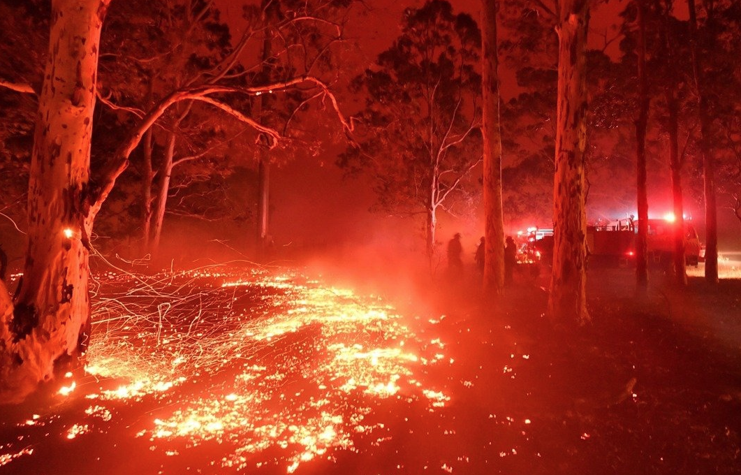 气候乾燥,森林野火,澳洲,地球,生态环境,碳排放,平安禅,禅修,气候变迁,宗教