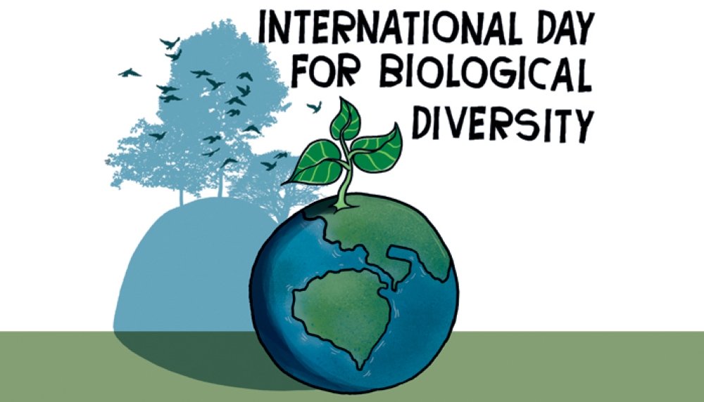 联合国生物多样性国际日,保护地球上的生命